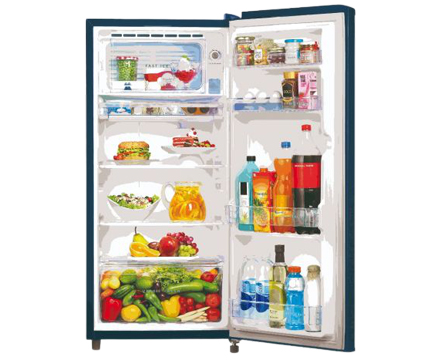 Fridge Repair
